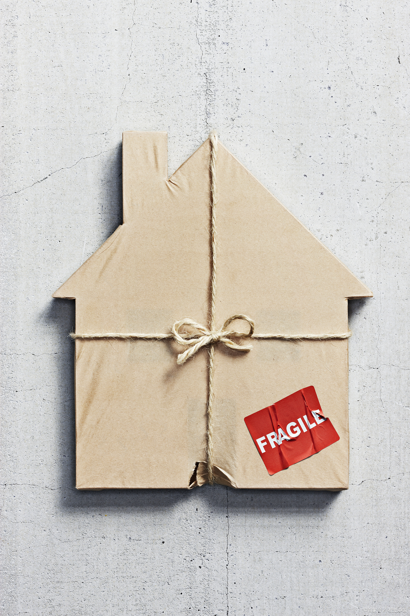 老人承租房屋拆迁孙子女作为共同安置人是否享有房屋份额